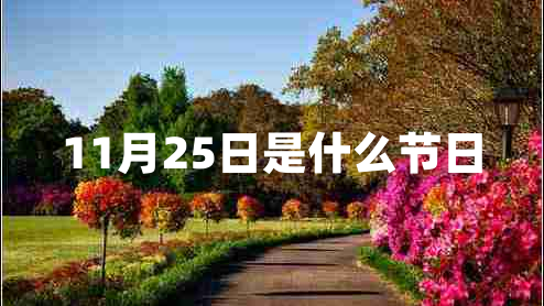 11月25日是什么節日