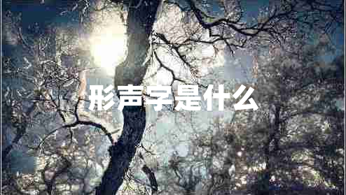 形聲字是什么