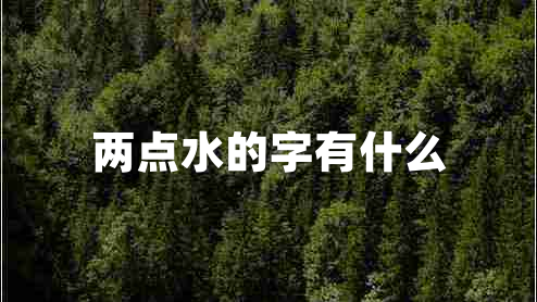 兩點(diǎn)水的字有什么