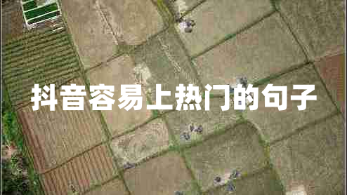 抖音容易上熱門(mén)的句子