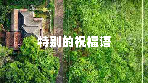 特別的祝福語(yǔ)