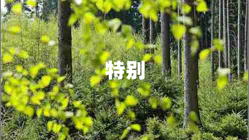 特別