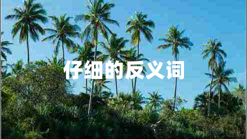 仔細的反義詞