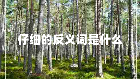 仔細的反義詞是什么