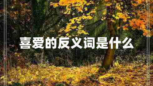 喜愛(ài)的反義詞是什么