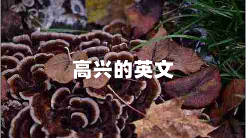 高興的英文