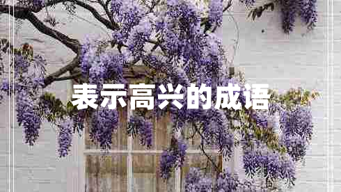 表示高興的成語(yǔ)