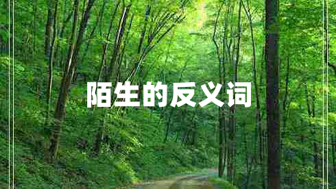 陌生的反義詞