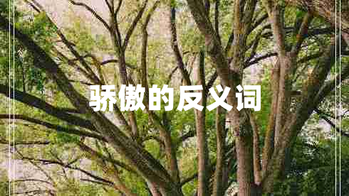 驕傲的反義詞