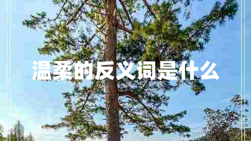 溫柔的反義詞是什么