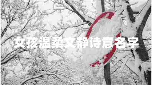女孩溫柔文靜詩(shī)意名字