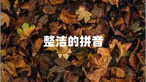 整潔的拼音