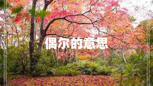 偶爾的意思