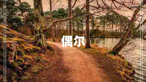 偶爾