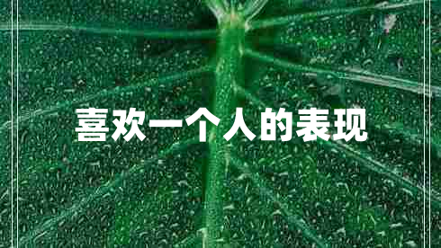 喜歡一個(gè)人的表現