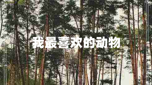 我最喜歡的動(dòng)物