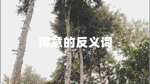 得意的反義詞
