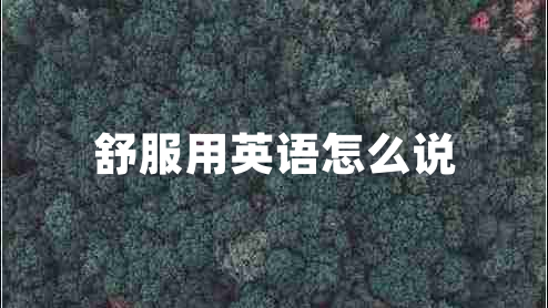 舒服用英語(yǔ)怎么說(shuō)