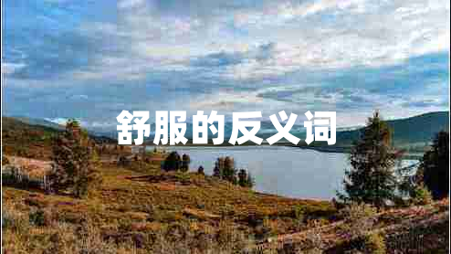 舒服的反義詞