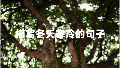 描寫(xiě)冬天寒冷的句子