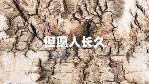 但愿人長(cháng)久