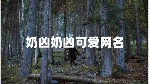 奶兇奶兇可愛(ài)網(wǎng)名
