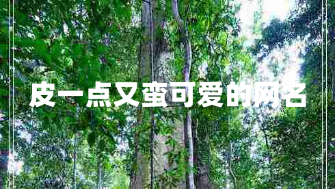 皮一點(diǎn)又蠻可愛(ài)的網(wǎng)名