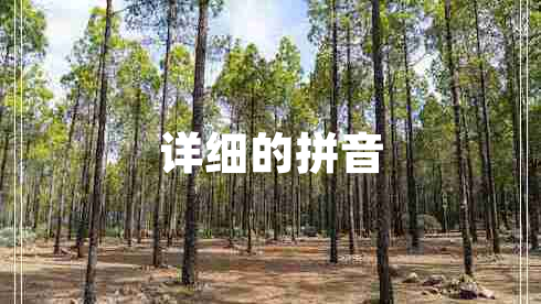 詳細的拼音