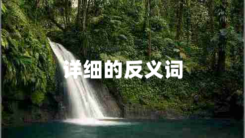 詳細的反義詞