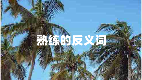 熟練的反義詞