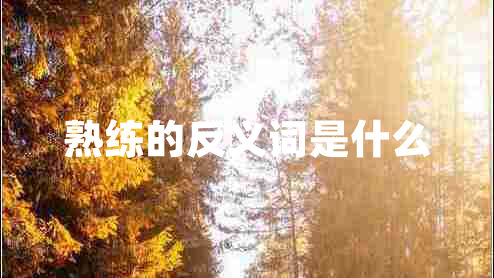 熟練的反義詞是什么