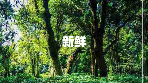 新鮮