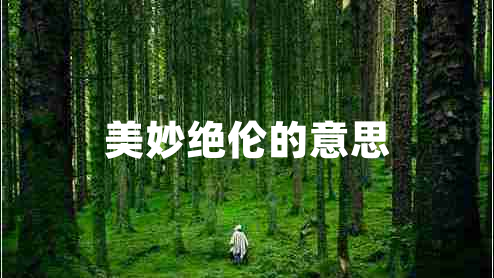 美妙絕倫的意思