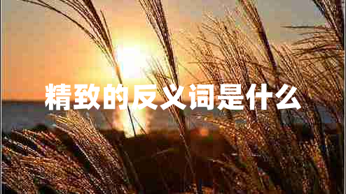 精致的反義詞是什么