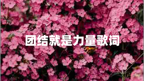 團結就是力量歌詞