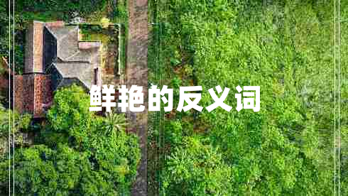 鮮艷的反義詞