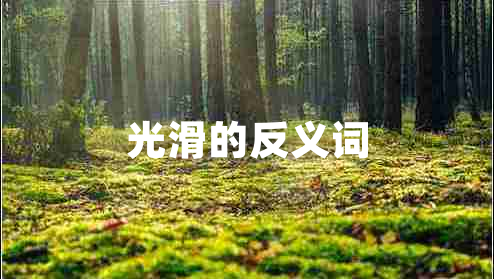 光滑的反義詞