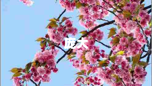 龐大