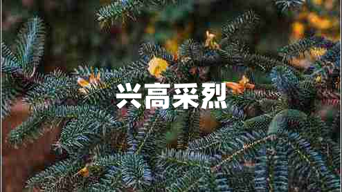 興高采烈