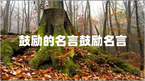 鼓勵的名言鼓勵名言