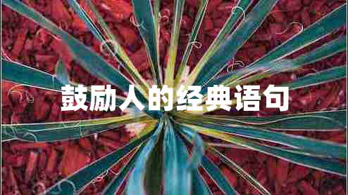 鼓勵人的經(jīng)典語(yǔ)句