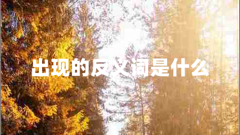 出現的反義詞是什么