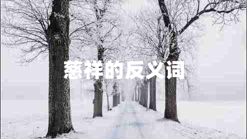 慈祥的反義詞