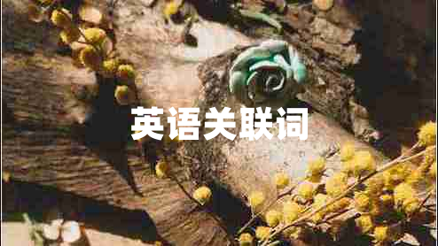 英語(yǔ)關(guān)聯(lián)詞