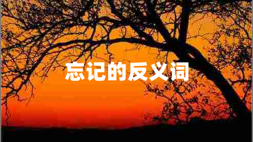 忘記的反義詞
