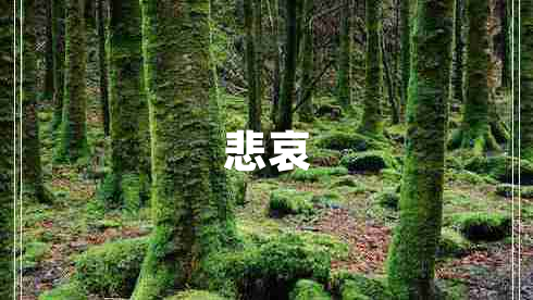 悲哀