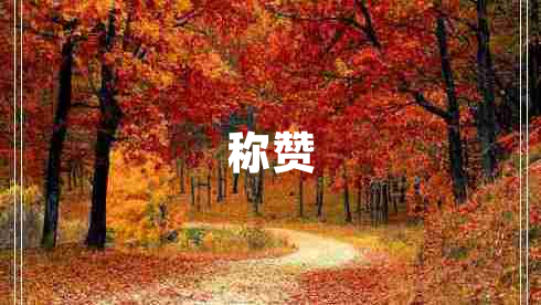 稱(chēng)贊