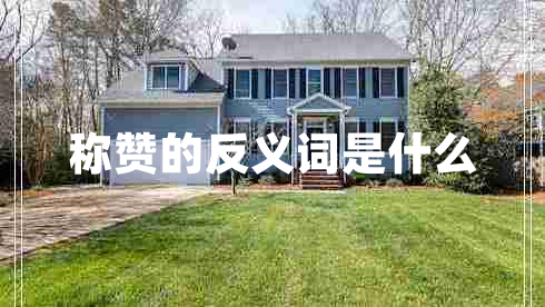 稱(chēng)贊的反義詞是什么
