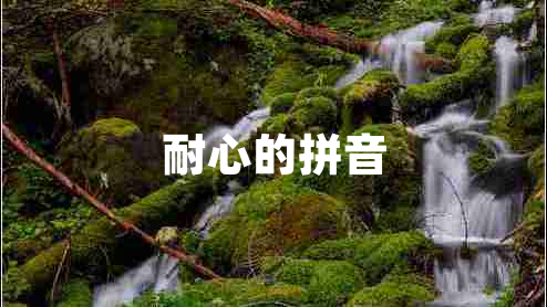 耐心的拼音