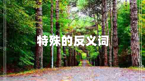 特殊的反義詞